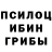 Галлюциногенные грибы Psilocybine cubensis Yar Kiriy
