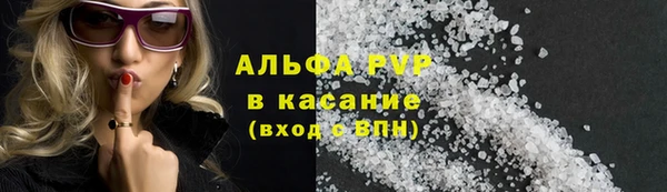 ECSTASY Бородино