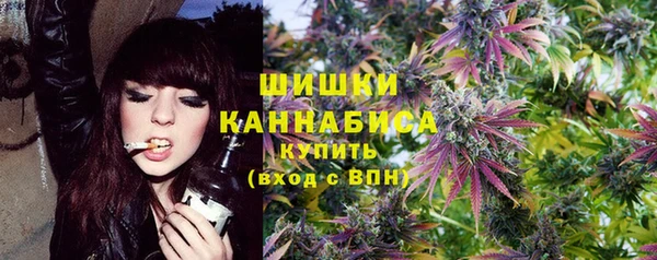 ECSTASY Бородино