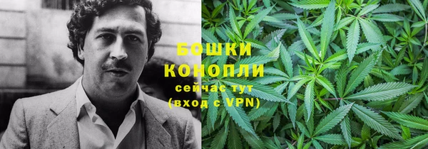 мдпв Бугульма