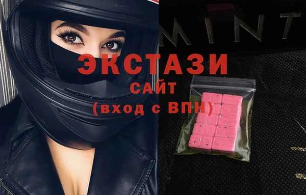 ECSTASY Бородино