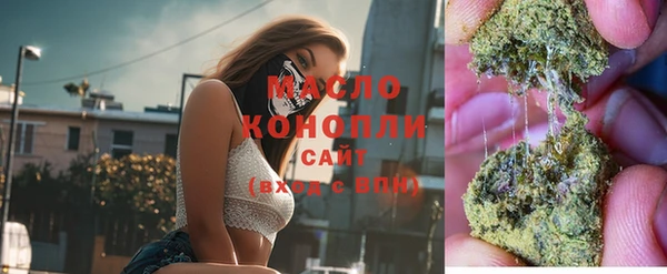 ECSTASY Бородино