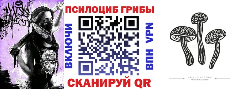 Галлюциногенные грибы прущие грибы  Гатчина 
