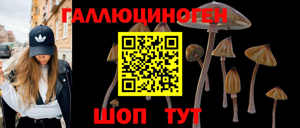 Гатчина  Галлюциногенные грибы ЛСД  Псилоцибиновые грибы Psilocybine cubensis  Вход с VPN 